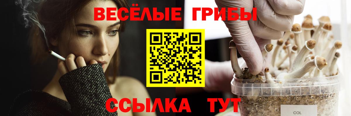 Галлюциногенные грибы ЛСД  даркнет сайт  Углич  Вход с VPN 